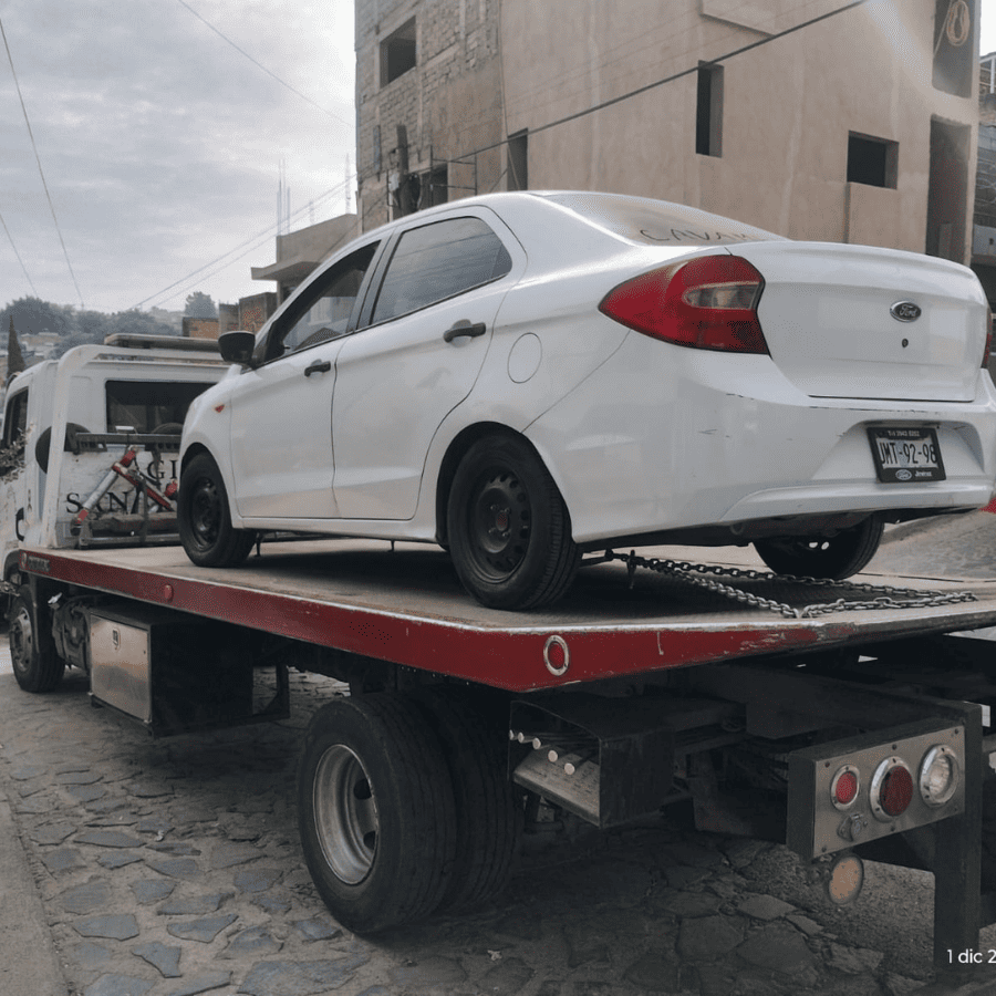 Professional team collaboration